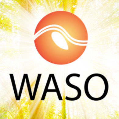 Neue digitale Wege und Prozesse für die WASO Energie GmbH