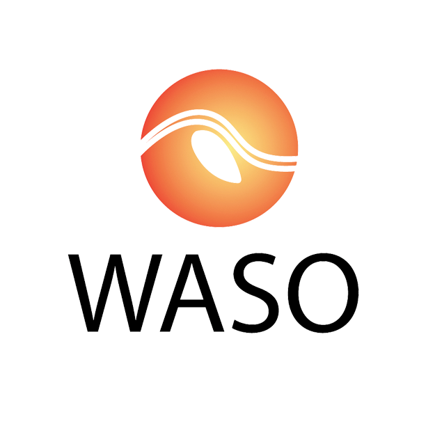 Neue digitale Wege und Prozesse für die WASO Energie GmbH