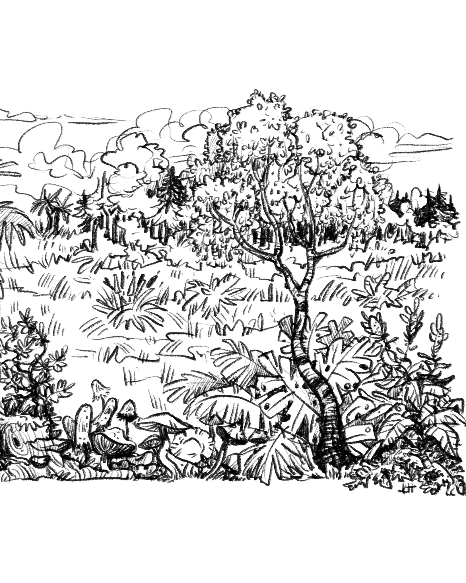 Ausstellung Flussumkehr – von der Skizze zur Illustration