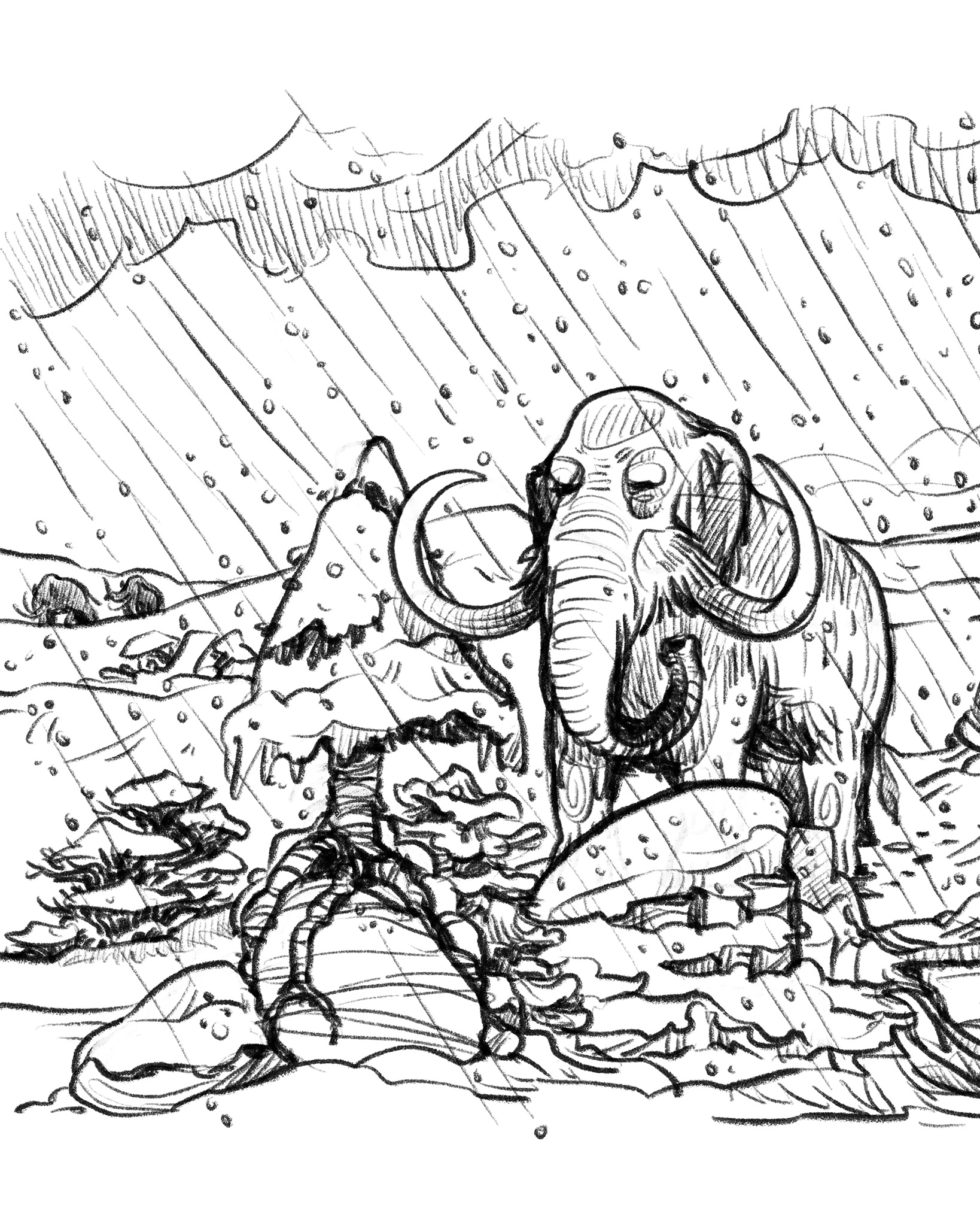 Ausstellung Flussumkehr – von der Skizze zur Illustration