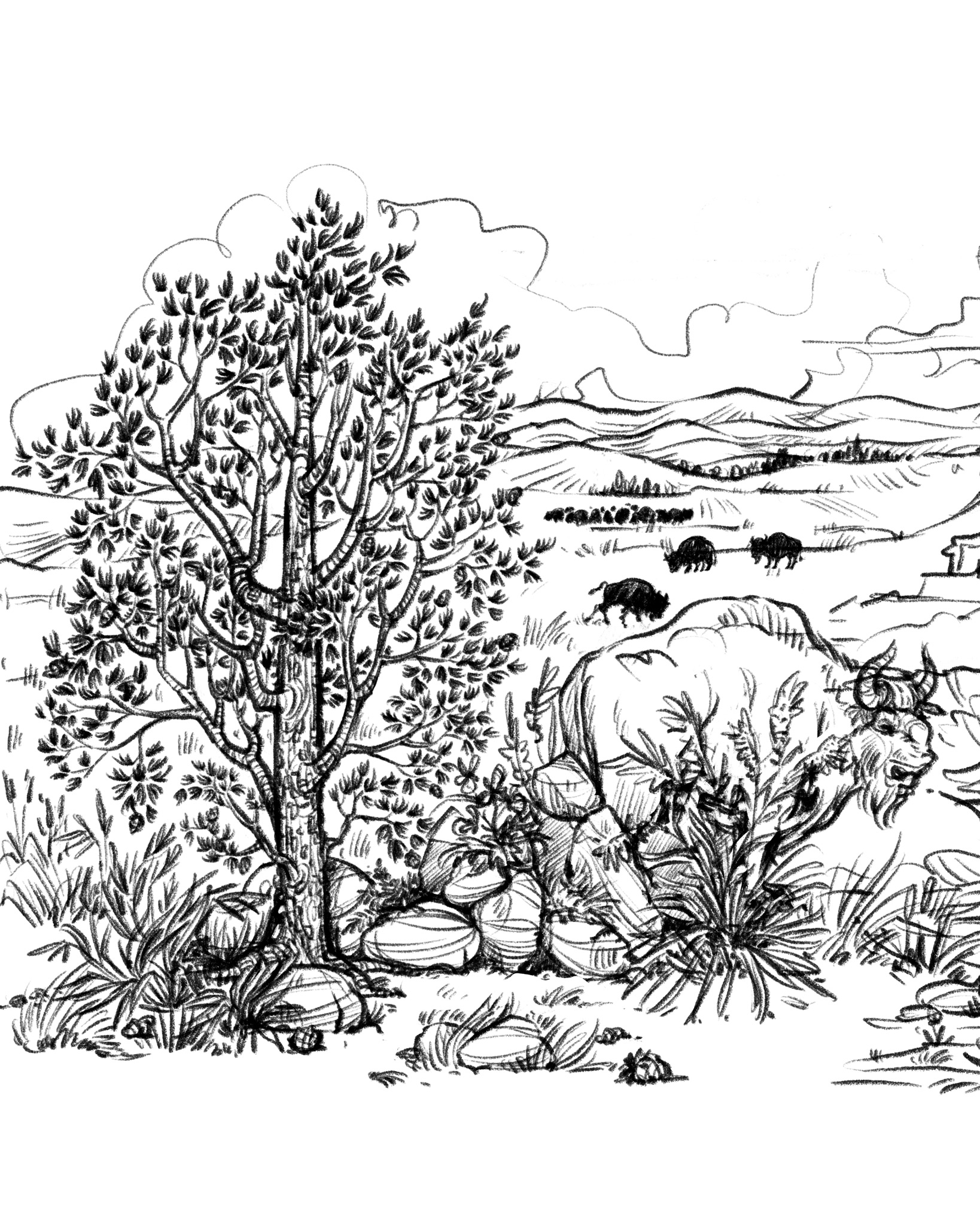 Ausstellung Flussumkehr – von der Skizze zur Illustration