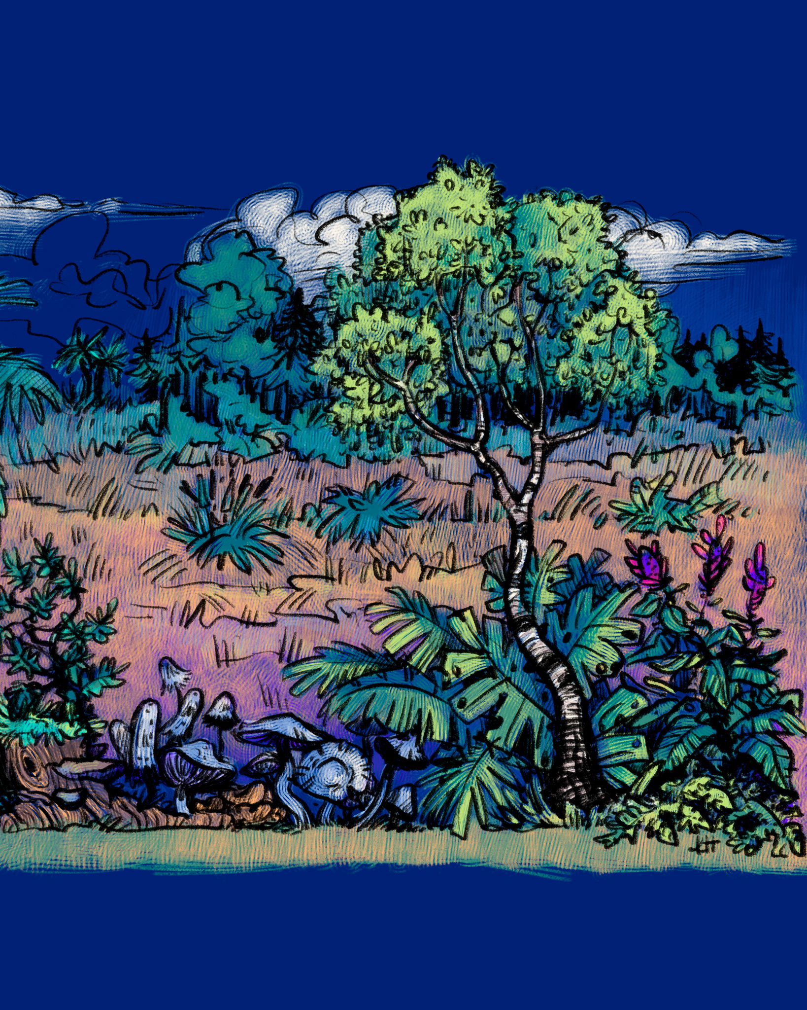 Ausstellung Flussumkehr – von der Skizze zur Illustration