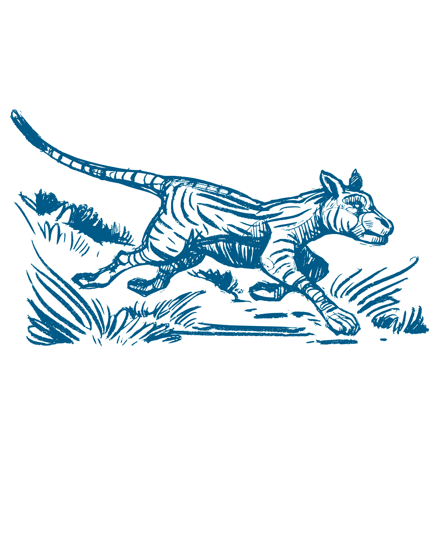 Ausstellung Flussumkehr – von der Skizze zur Illustration