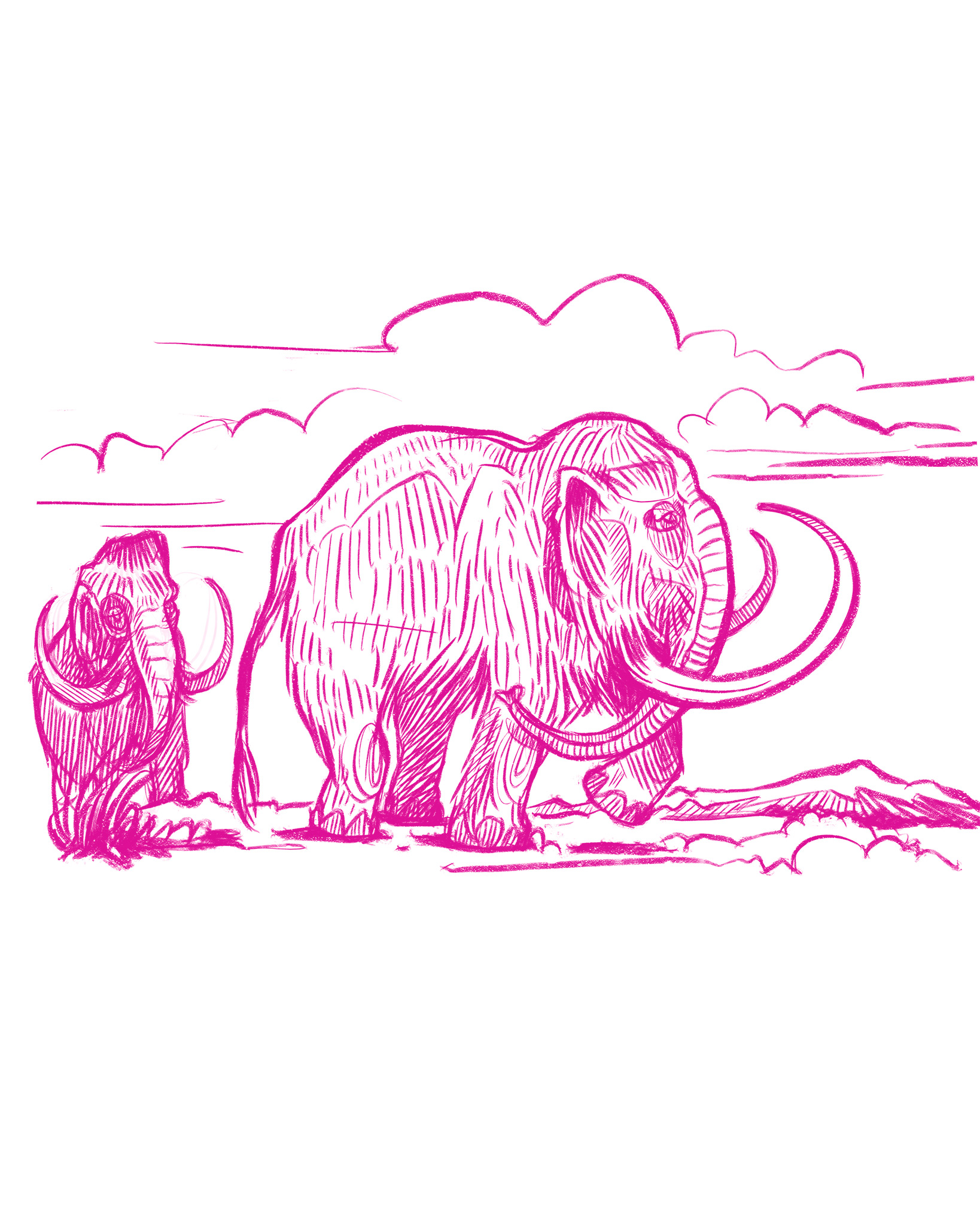 Ausstellung Flussumkehr – von der Skizze zur Illustration